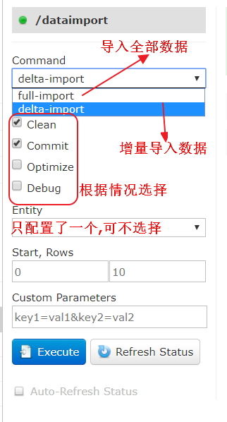 管理界面运行导入命令